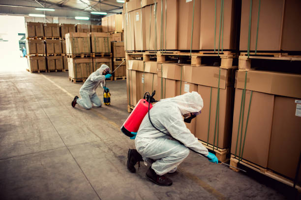 Best Ant Control Services  in Lovettsville, VA