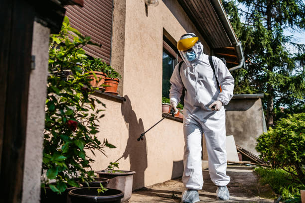 Best Pest Control Near Me in Lovettsville, VA